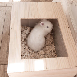 Hopplwerk Buddelkiste für Plastikboxen "heaven"