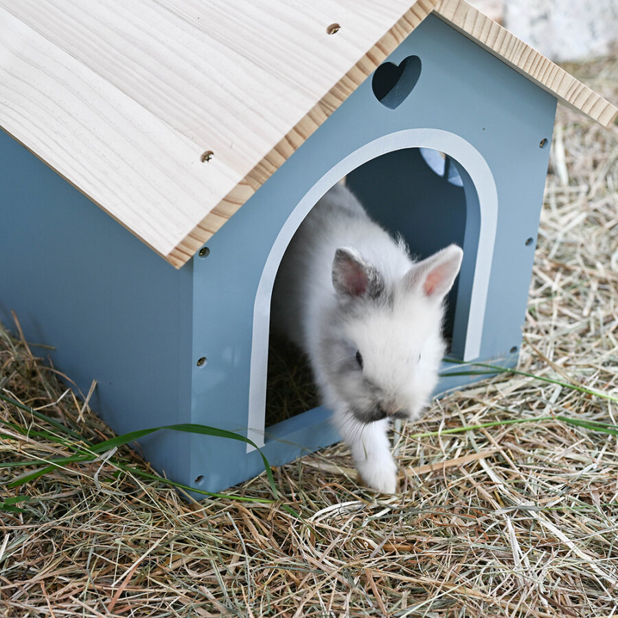 Hopplwerk Hus Alma taubenblau