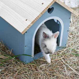 Hopplwerk Hus Alma taubenblau
