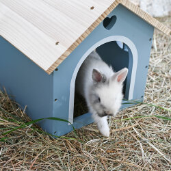 Hopplwerk Hus Alma taubenblau