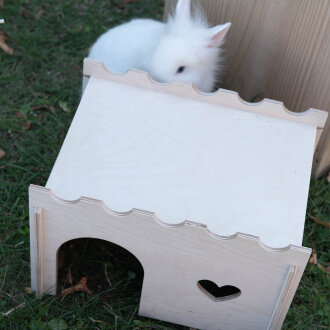 Cottage bunny heart