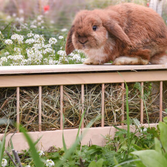 Hopplwerk Futterraufe Marlin