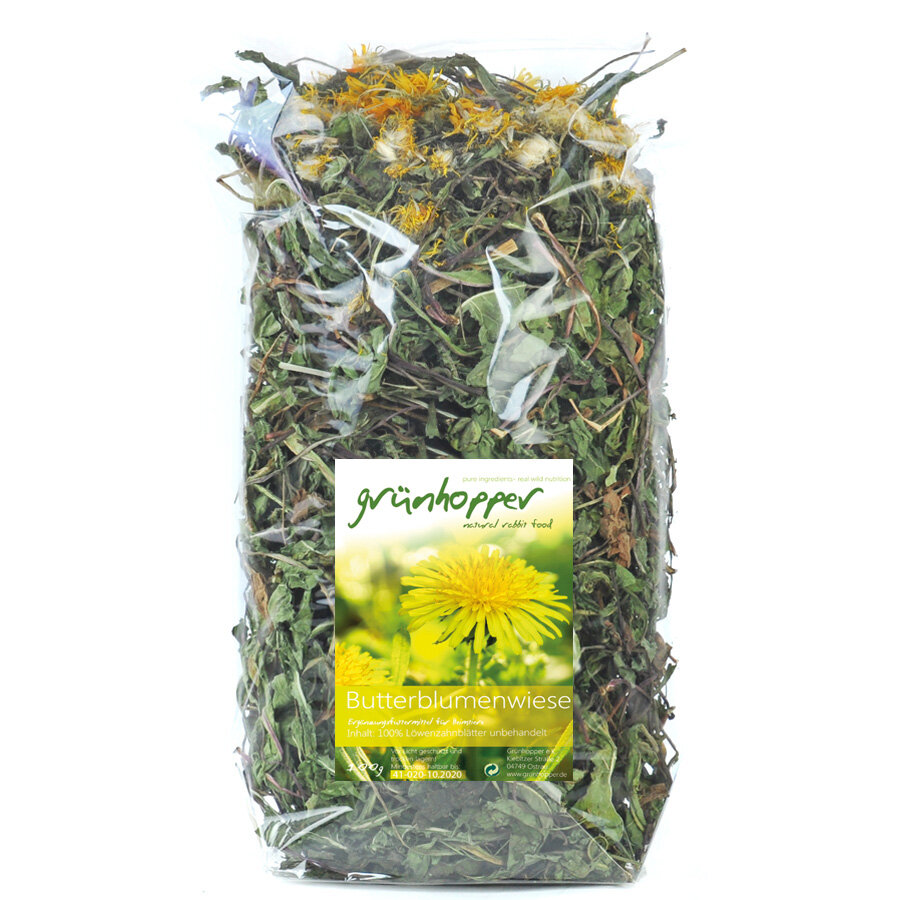 grünhopper Feuilles de pissenlit Prairie de boutons dor