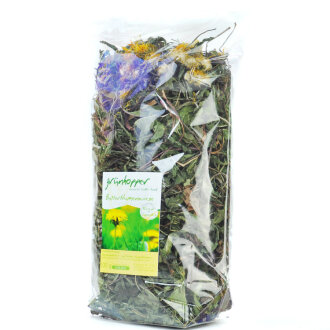 grünhopper Feuilles de pissenlit Prairie de boutons dor