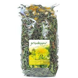 grünhopper Feuilles de pissenlit Prairie de boutons dor