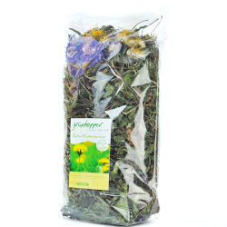 grünhopper Feuilles de pissenlit Prairie de boutons dor