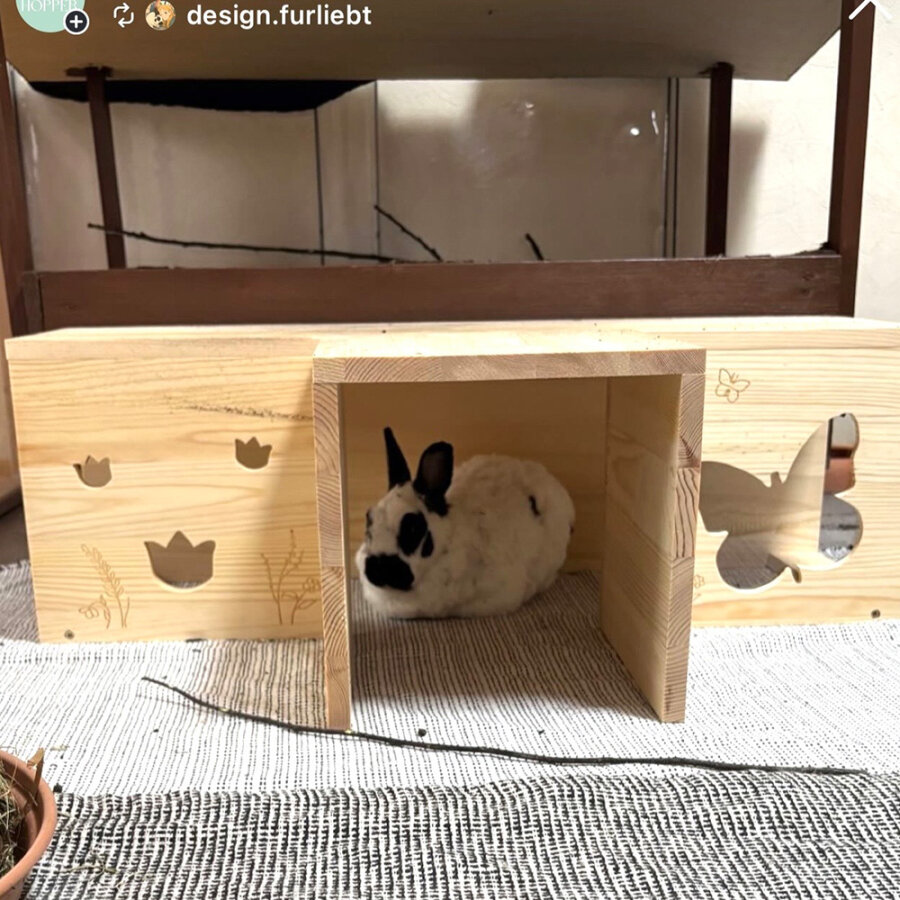 Tunnelsystem T Form butterfly