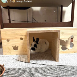 Tunnelsystem T Form butterfly