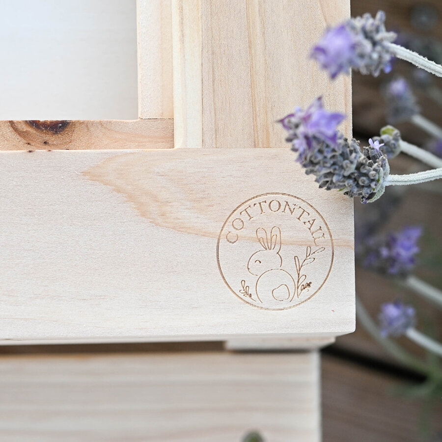 "Cool" Picknickbank butterfly