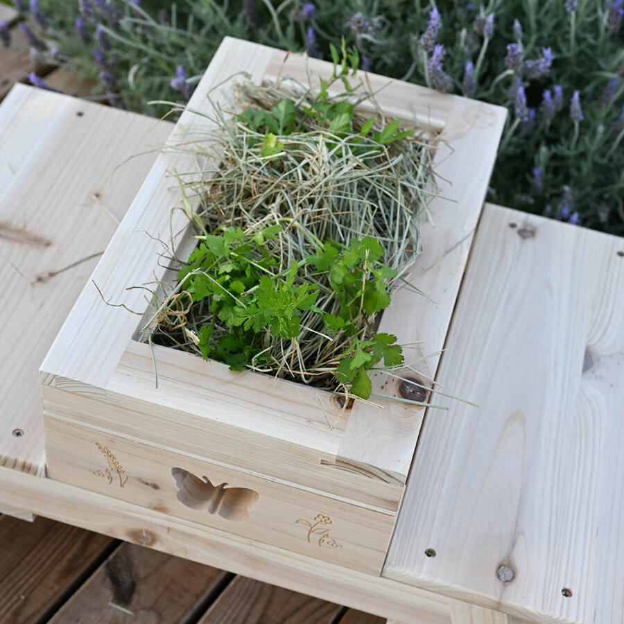 "Cool" Picknickbank butterfly