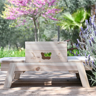 "Cool" Picknickbank butterfly