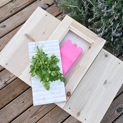 "Cool" Picknickbank butterfly