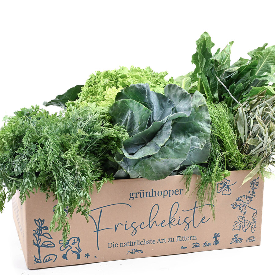 Frischekiste Blattgrün 5 kg
