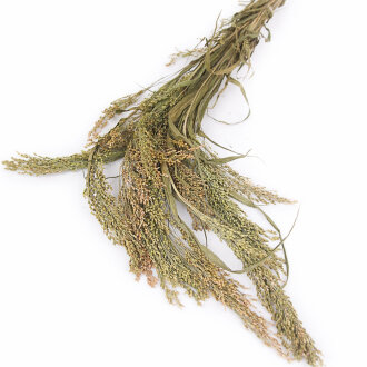 Bouquet de millet
