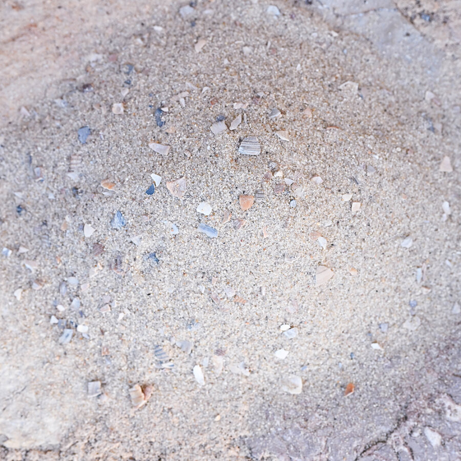 Vogelsand Meeresbrise