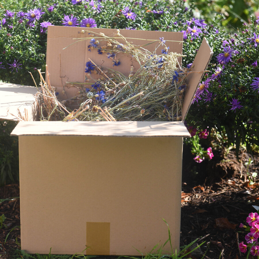 grünhopper bleuets 400g