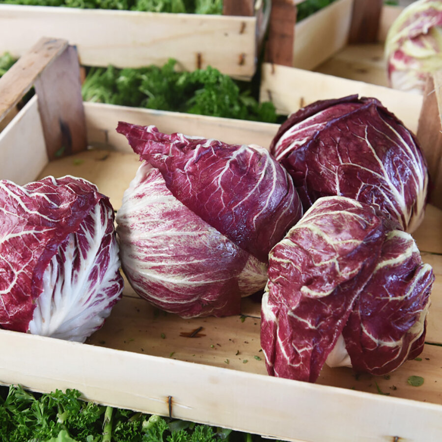 Frischekiste Radicchio