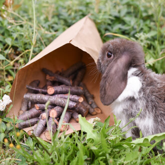 Frischekiste Knabberholz ungebündelt 250 g