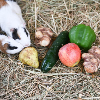 Frischekiste Meeri Mix 1,5 kg