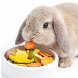 grünhopper Jardin potager