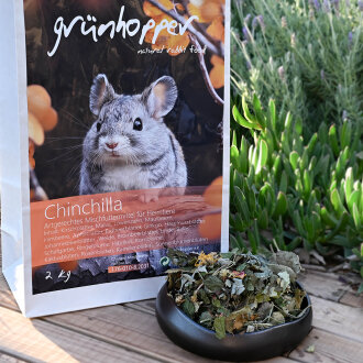 grünhopper Chinchilla