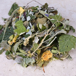 grünhopper Chinchilla