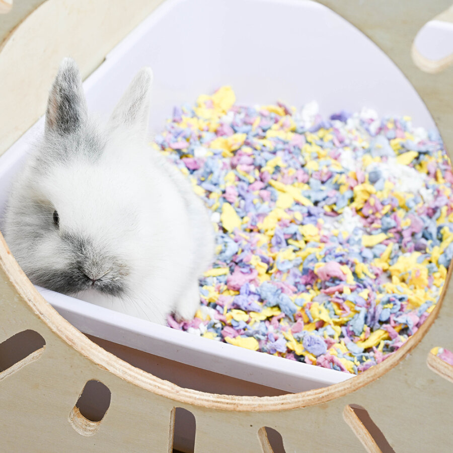 Chipsi Confetti Baumwolleinstreu