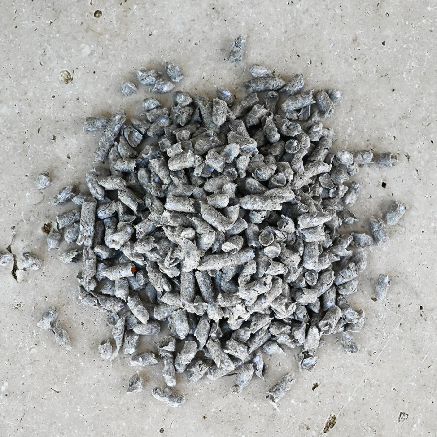 pets dream Papiereinstreu