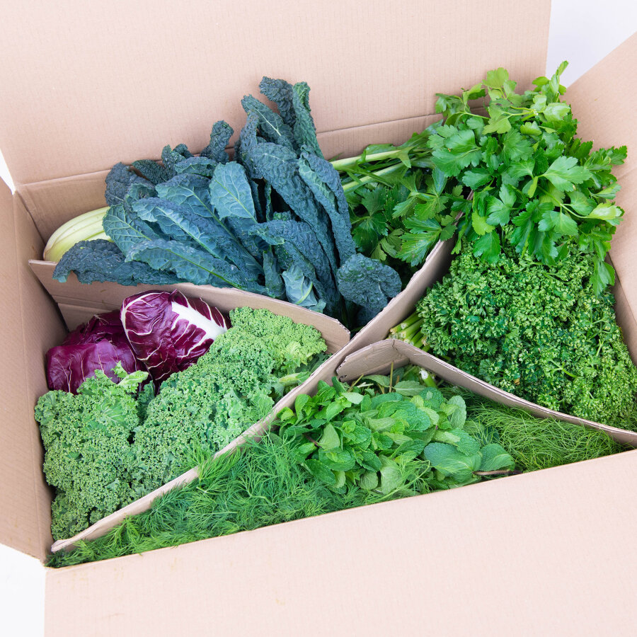 Expressfrische Best of Box