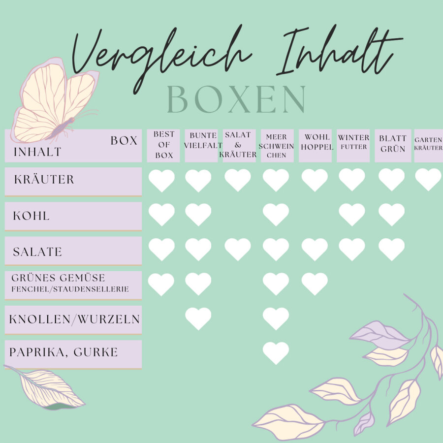 Expressfrische Best of Box