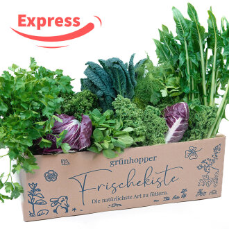 Expressfrische Best of Box