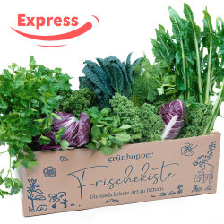 Expressfrische Best of Box