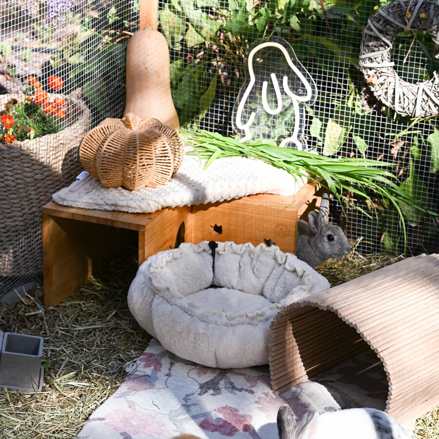 NEON Lampe USB Anschluss