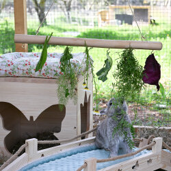 Futterstange aus Treibholz