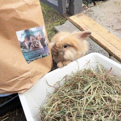 Timothy Heu big pack 3 kg