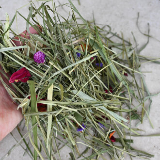 Timothy Heu mit Blüten 250 g