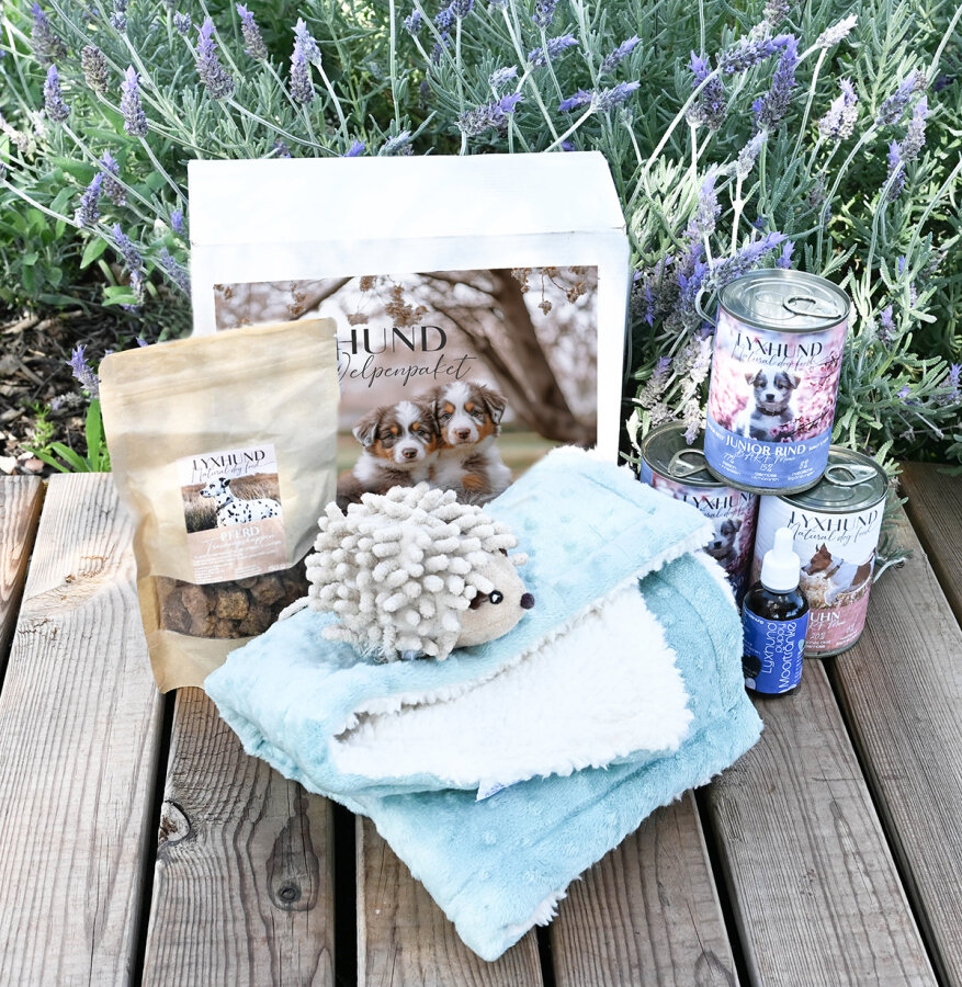 Welpenpaket Bubbledecken Edition pistazie