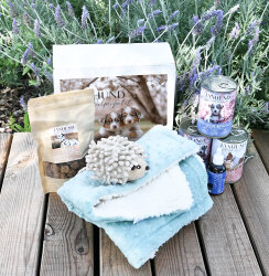 Welpenpaket Bubbledecken Edition pistazie