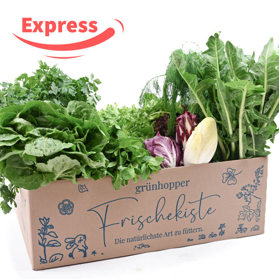 Expressfrische Salat&Kräuter