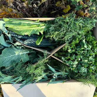 Expressfrische Blattgrün 5 kg