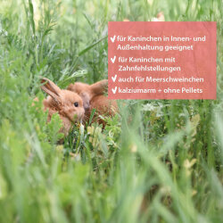 grünhopper Kraut & Rüben