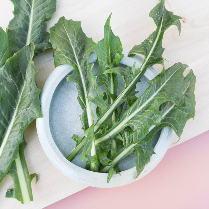 Expressfrische Löwenzahn