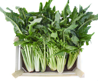 Expressfrische Löwenzahn