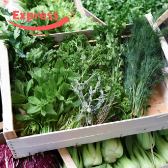 Expressfrische Gartenkräuter