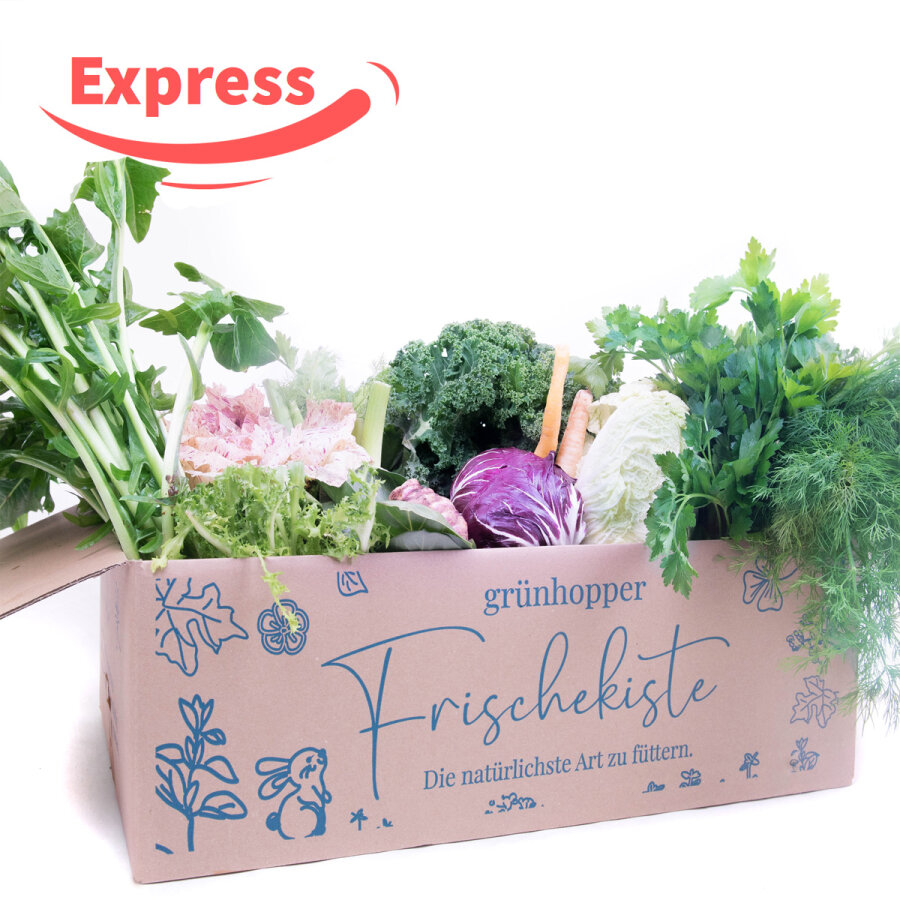 Expressfrische Bunte Vielfalt