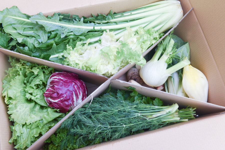 Expressfrische Bunte Vielfalt