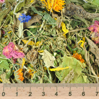 grünhopper Purgrün