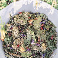 grünhopper Purgrün