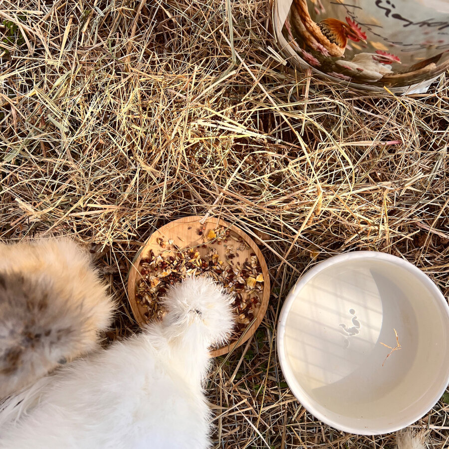 Hühnerglück Basisfutter  4,5 kg