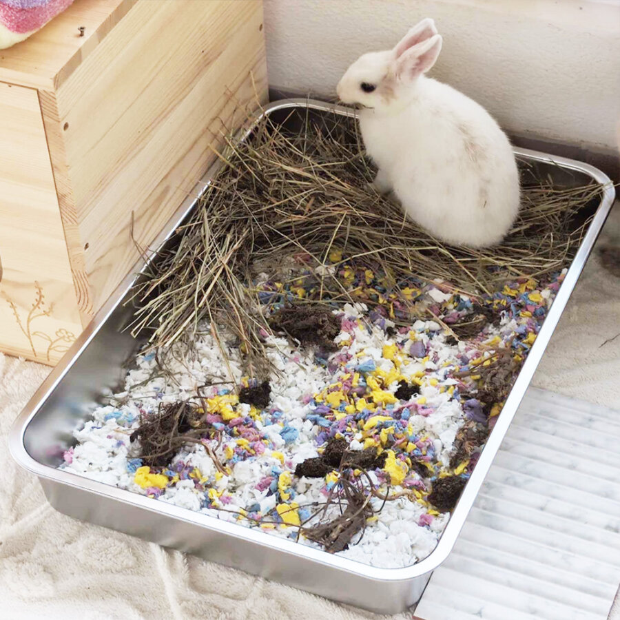 Edelstahl Kaninchentoilette